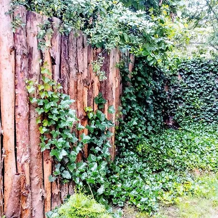 Lejlighed Black&red *