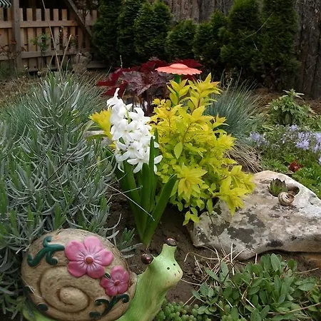 Black&red Apartament Sofia