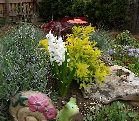 Black&red Appartamento Sofia