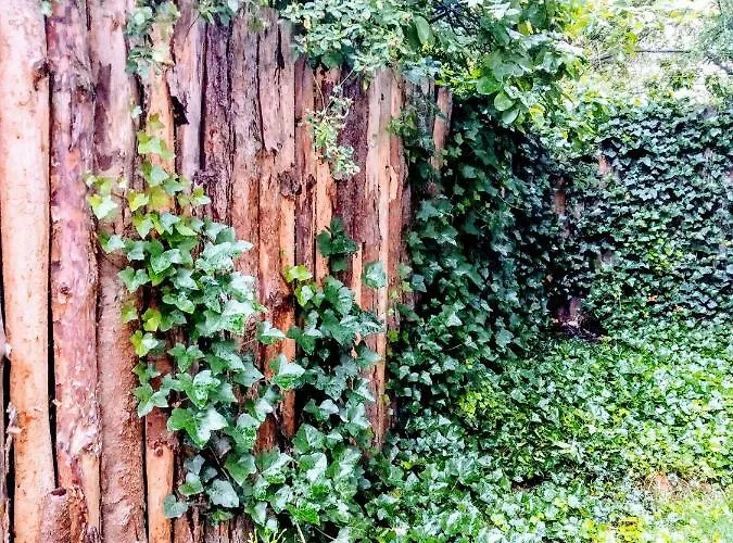 Appartamento Black&red *