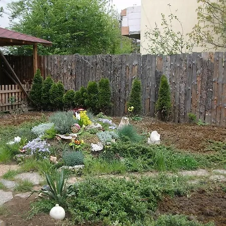 Black&red * Σόφια